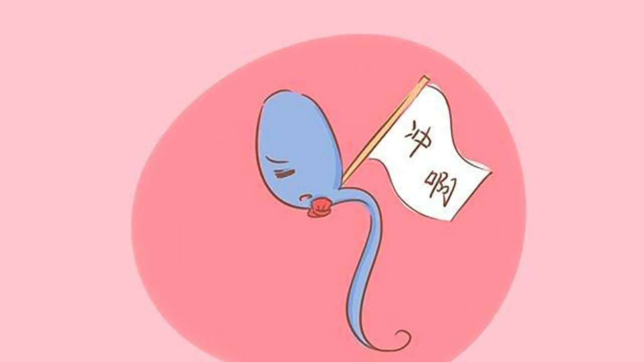 没有受孕的小蝌蚪去哪了,没有受孕的小蝌蚪去了哪里