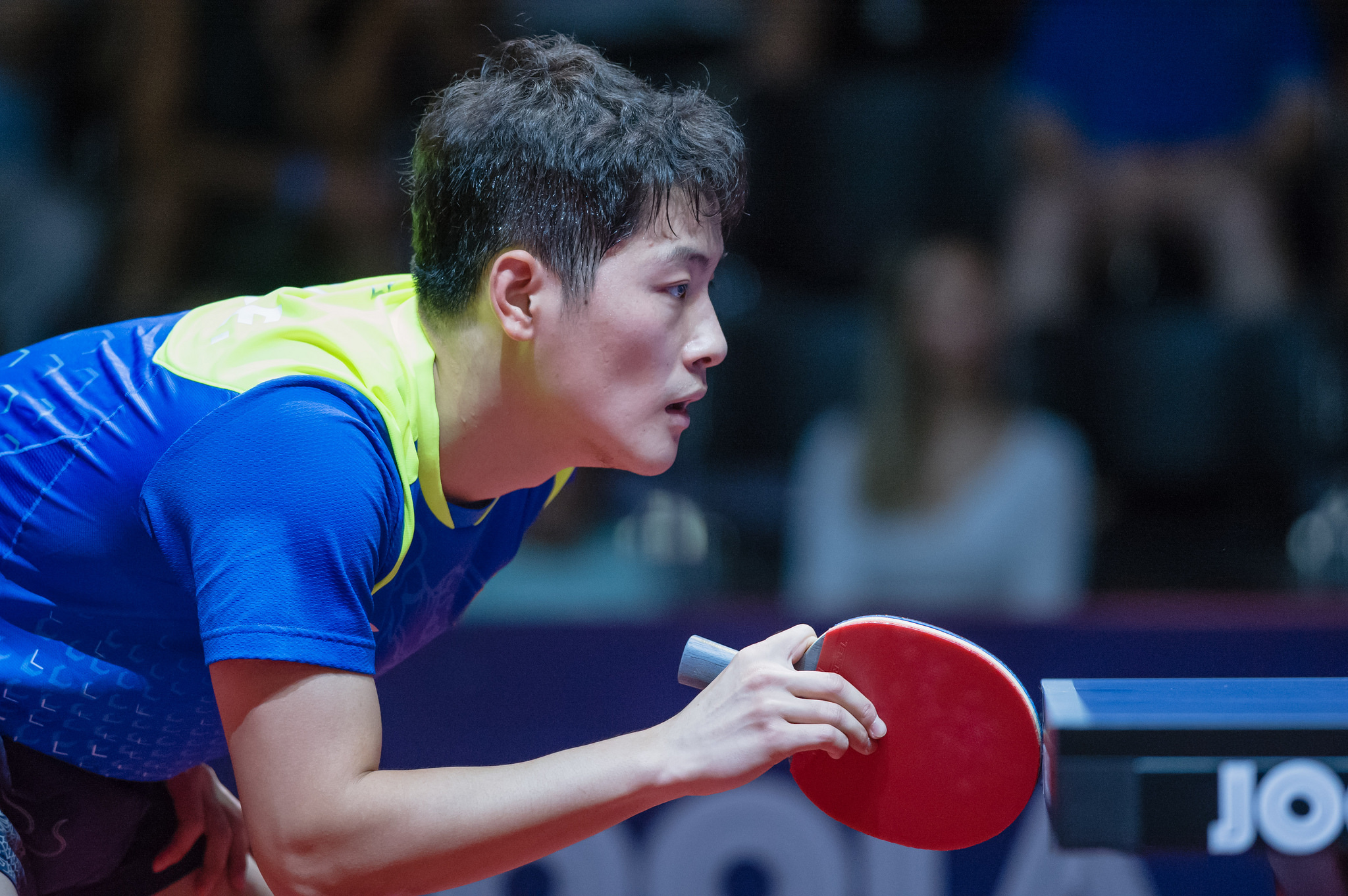 国乒备战布达佩斯世锦赛,国乒布达佩斯公开赛