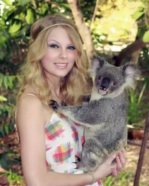 去澳大利亚需要学会什么技能,第一次出国去澳大利亚怎么玩