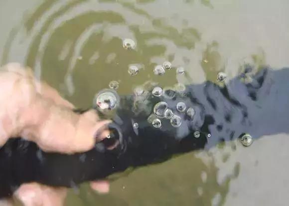 不会补胎咋补,单车骑行补胎