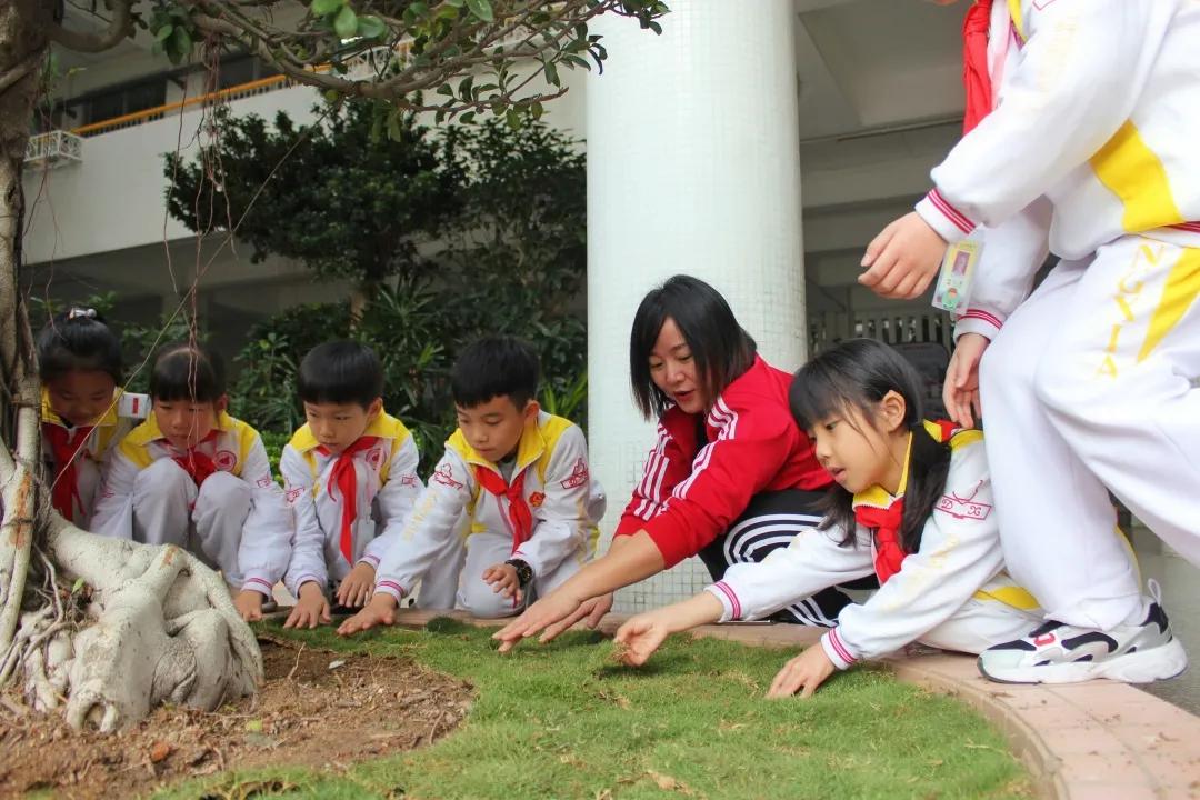 小学生文明校园创建报道,文明校园创建宣传视频