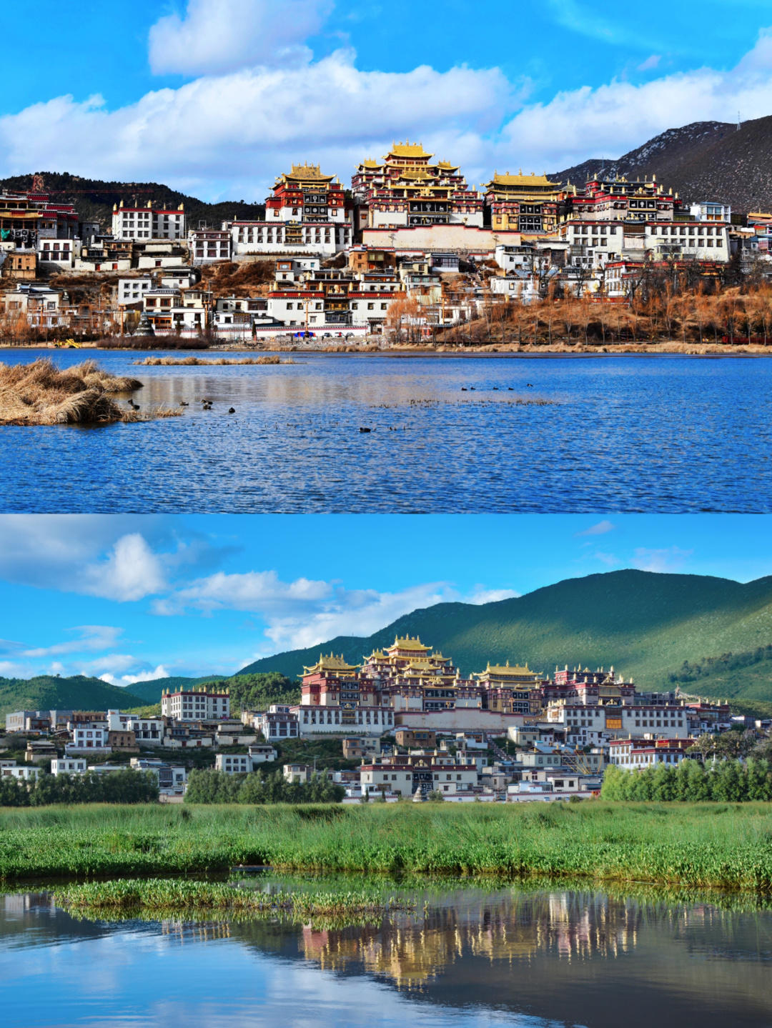 1月份云南旅游全攻略自由行,云南旅游游云南