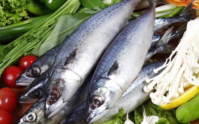 开海什么海鲜最好,开海季肥美海鲜