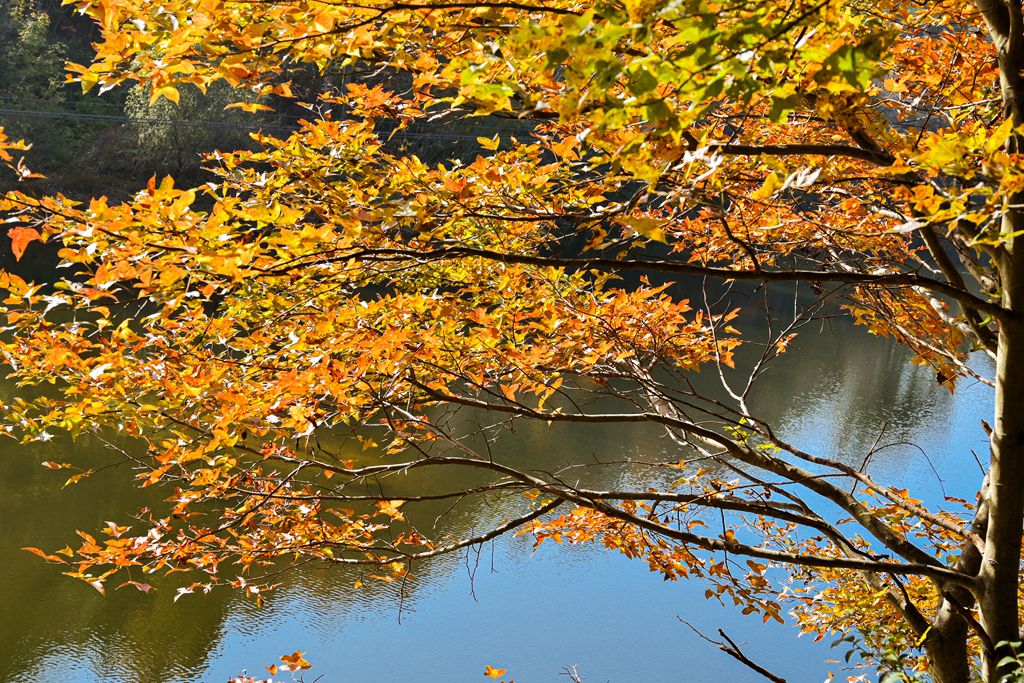 清凉寨美景,世界著名金秋山水风景油画