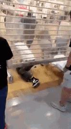 优衣库又曝小视频,这次车企们真应该好好学学了