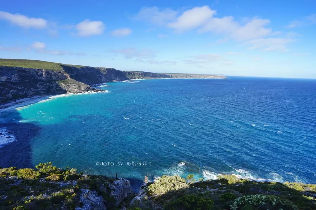 赴澳旅游注意,若带蜂蜜制品上岛,将被判两年监禁或8000澳元罚款