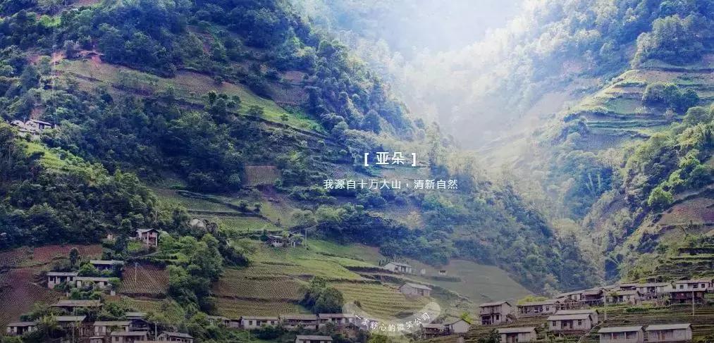 高大上！又一全国知名品牌进驻临桂！