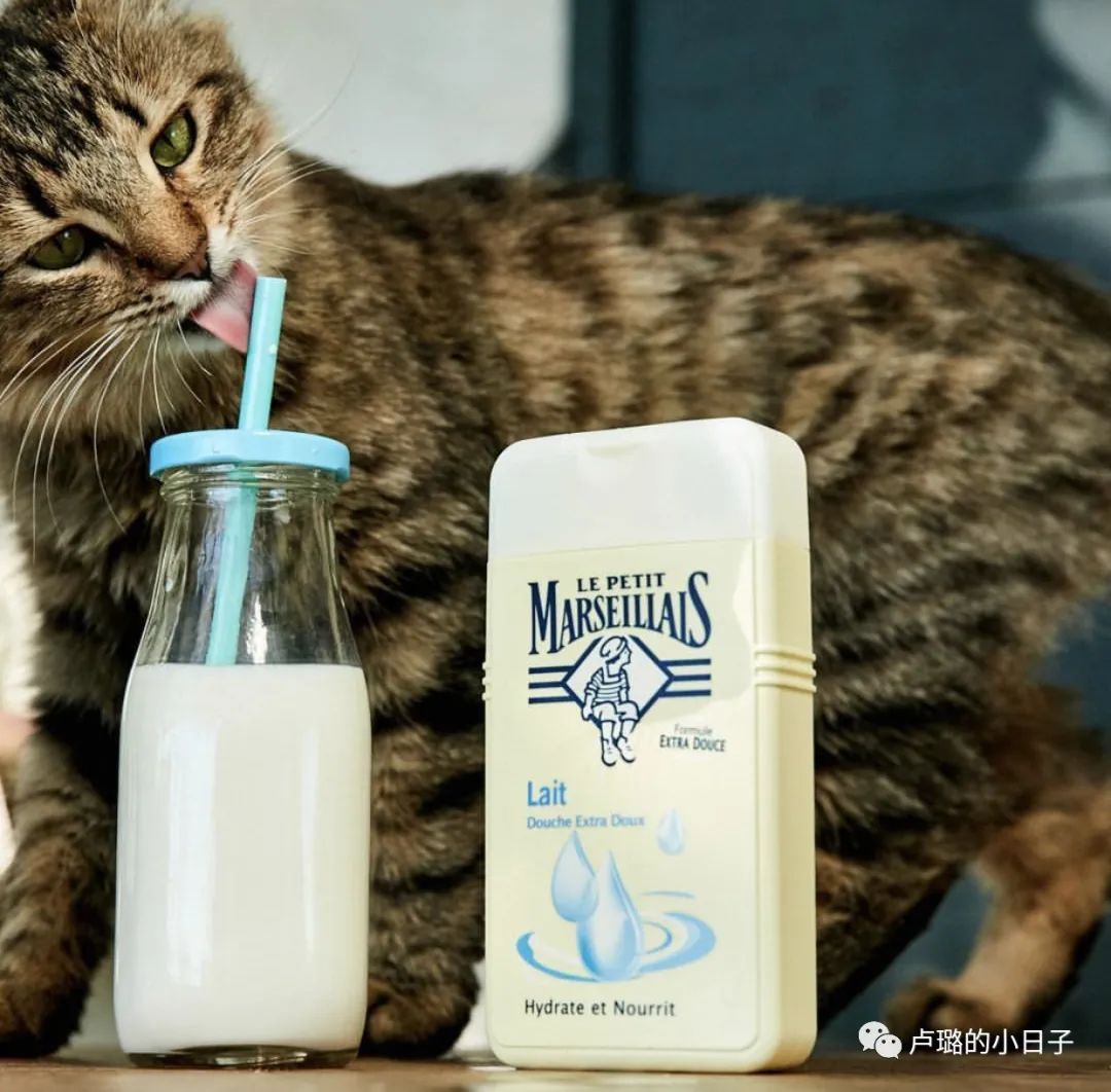 自己每天都在用的好物推荐,每天为大家推荐实用好物