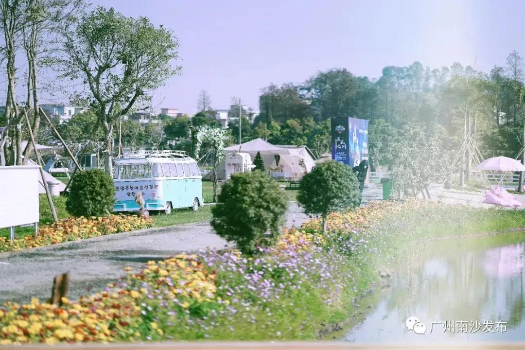 广州现在花开的季节,广州现在什么花开了