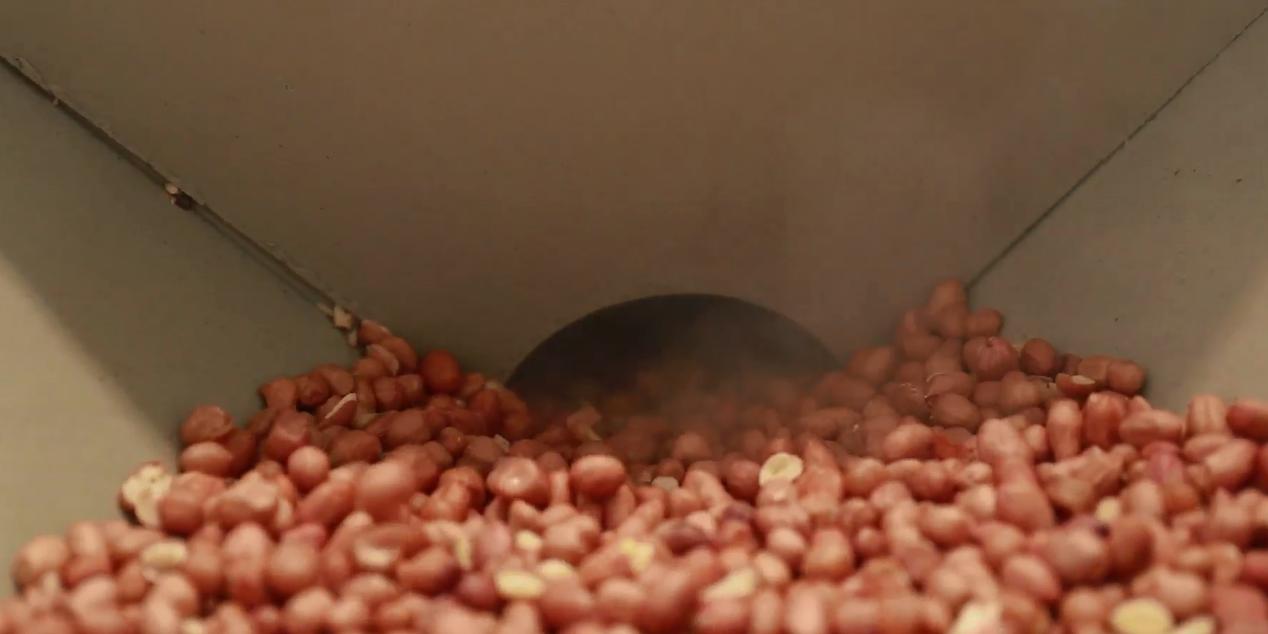 新型全自动大型榨油机全套,小型商用榨油机现榨现卖