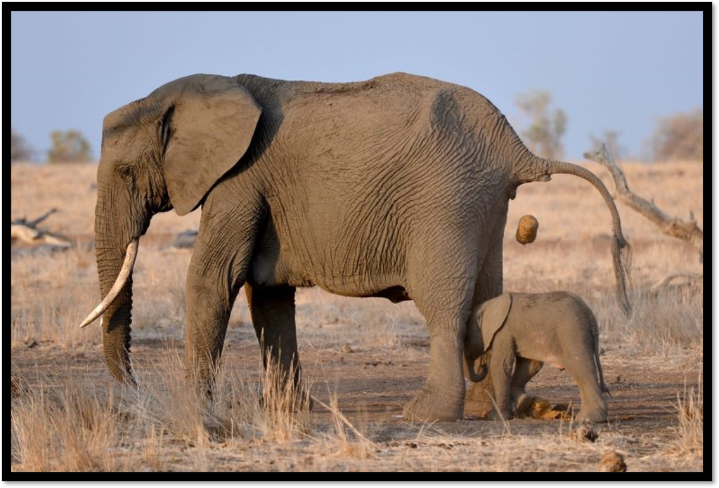 六一儿童节特别话题,六一儿童节问孩子有趣的问题