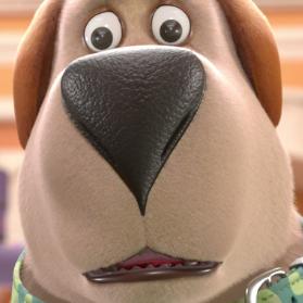 飞狗moco之小柯基的脑洞时刻,飞狗moco和他的小伙伴们