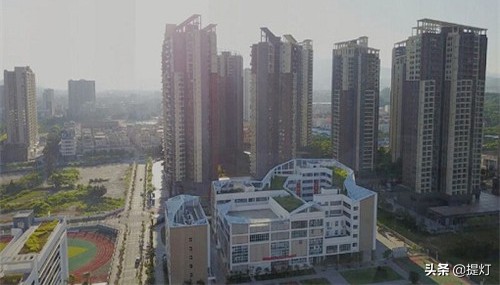 坪山区小学排名一览表,深圳坪山幼升小过来人建议