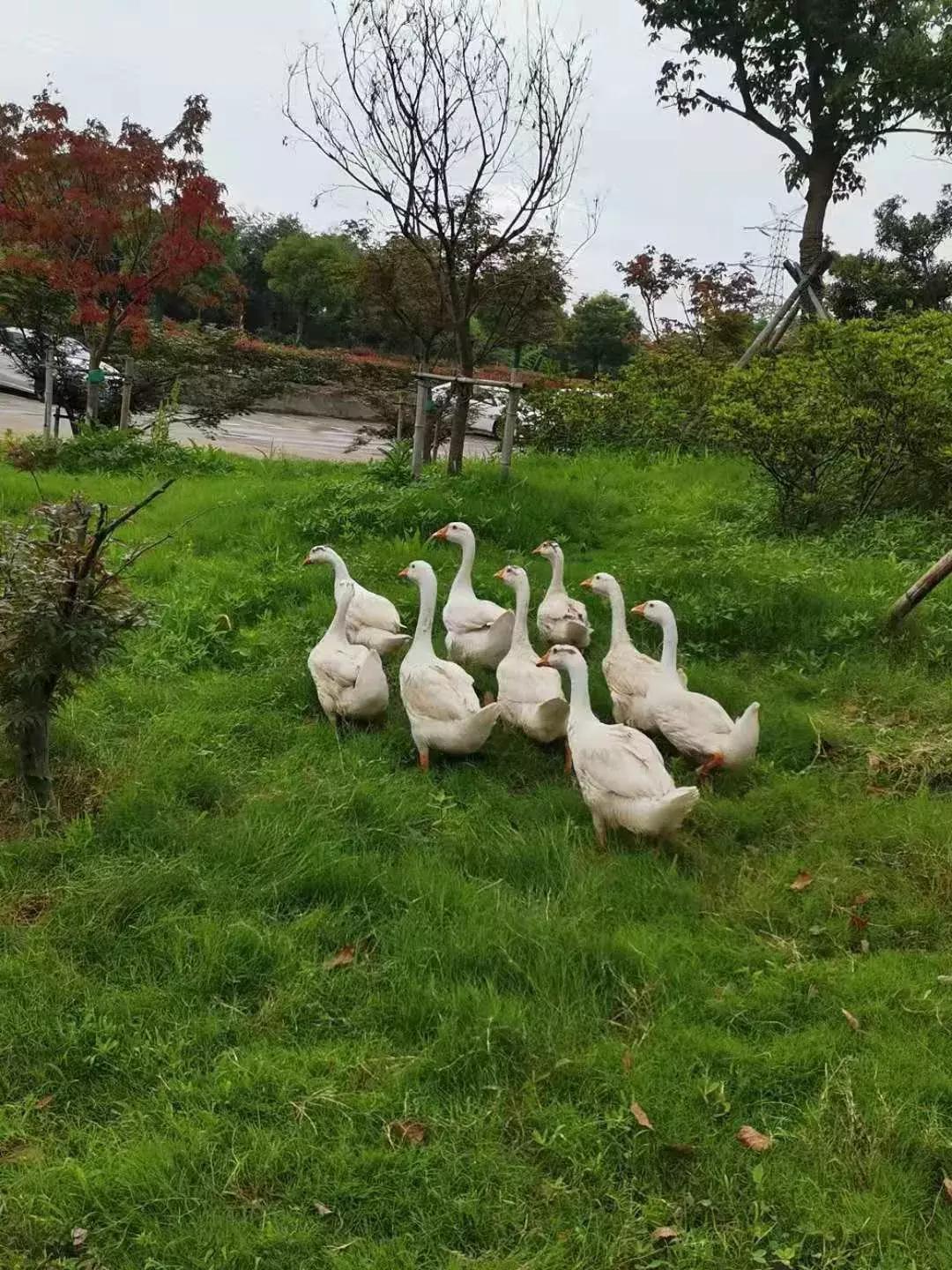 宜兴山里亲子酒店,宜兴山里的酒店