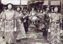 狗到底可以吃海带吗,狗多大可以吃海带