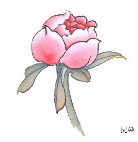 工笔画上色技巧及方法,工笔画染墨色完整步骤