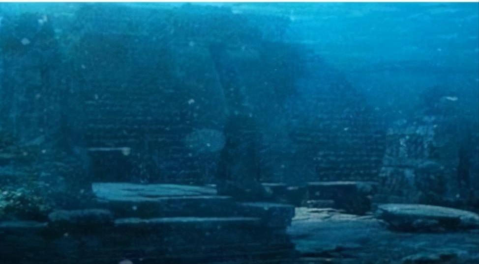 解密65年黄河巨龟,黄河发现巨龟事件真相