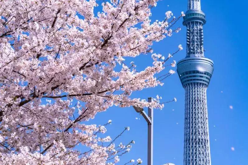 平成30年:被窝做梦的年轻人,繁荣的娱乐业,和低欲望消费