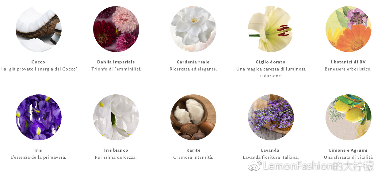 bottegaverde天猫,bottegaveneta上海佛罗伦萨