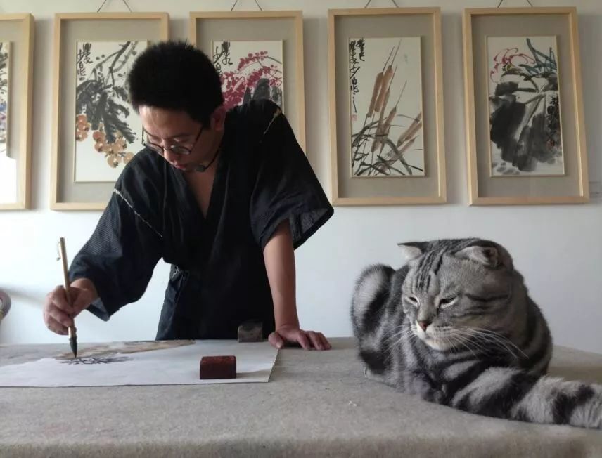 陈丹青评价齐白石,陈丹青被直呼大名