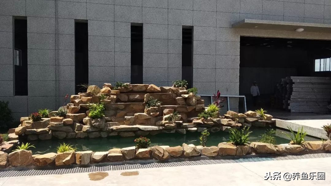 这位土豪家的渔场,光滤材就花了500多万,你确定不要见识一下?