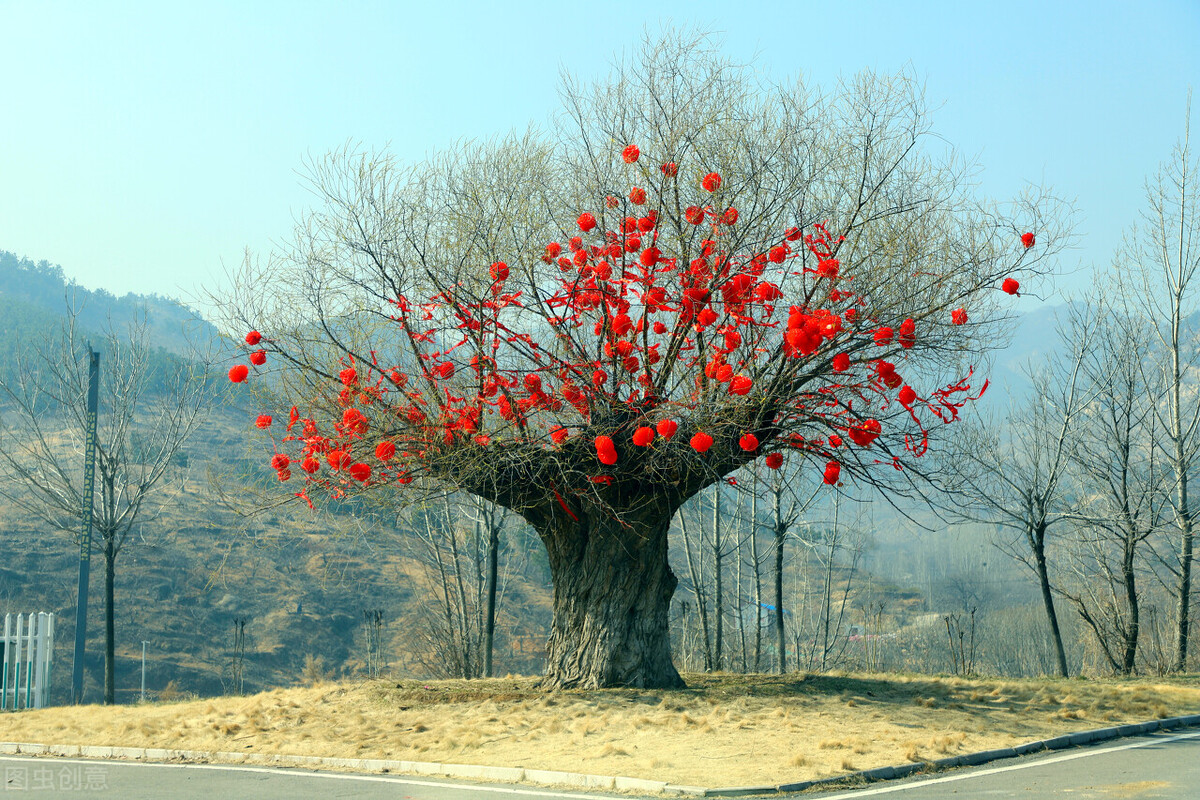 被诈骗后还不上银行的钱,被诈骗后贷款还不上