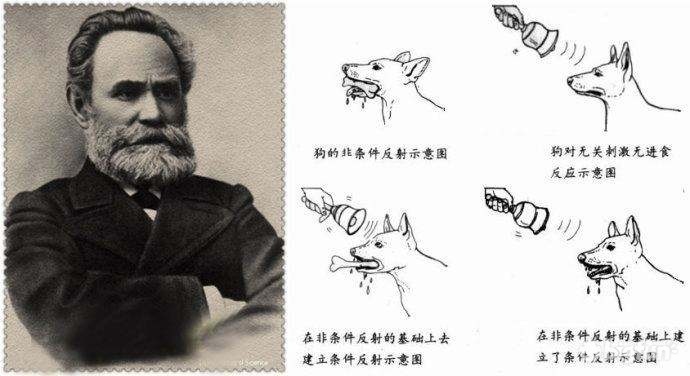 挂机爆率超高的养成类游戏,盘点推荐10款超爽的刷刷刷游戏