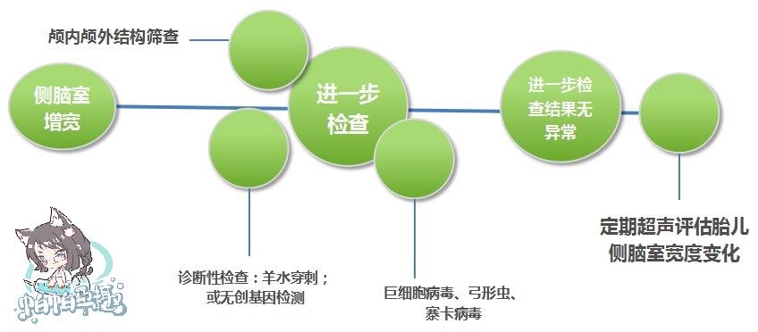 双侧侧脑室增宽18mm没有脑积水,胎儿脑室增宽脑积水怎么办