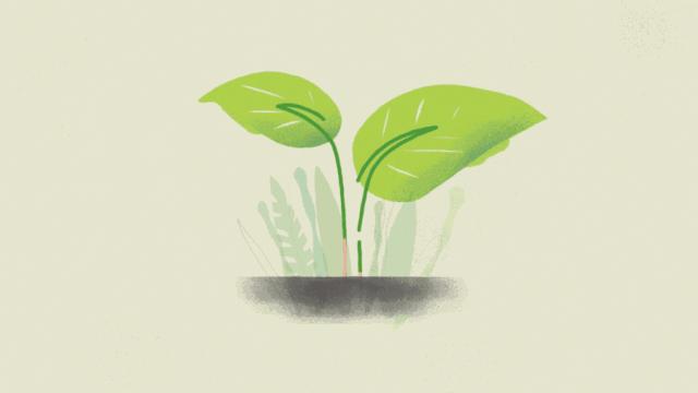 纯天然是虚假宣传吗,纯天然产品可靠吗