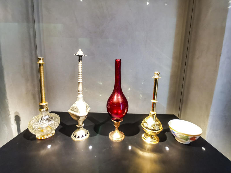 从天空到海洋到大地的视频,从天空到海底绘本