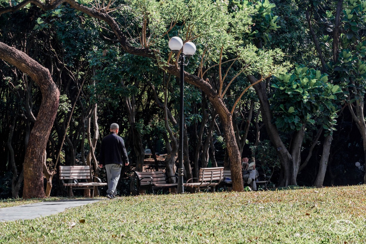 深圳十大顶级公园,深圳市十大风景公园排名