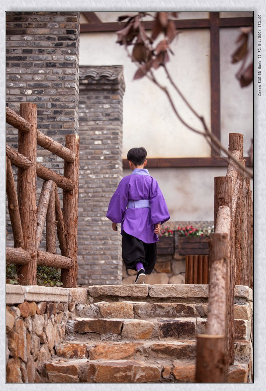 常州旅游东方盐湖城,骆驼之旅视频