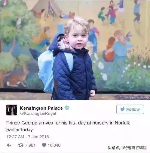 带货小王子,带货的小王子