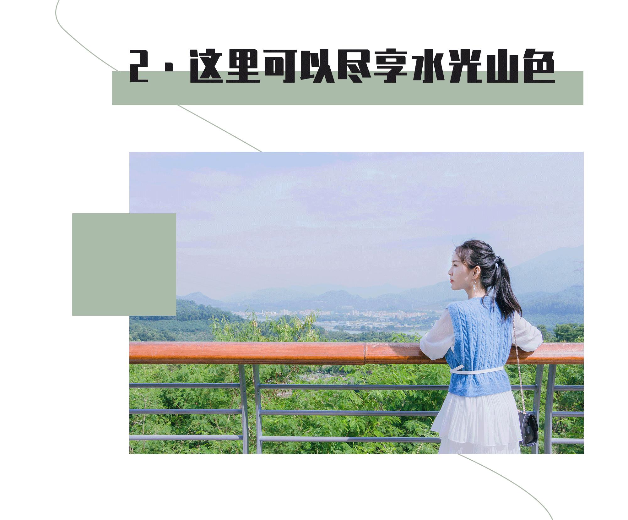 又发现深圳一个“绝美打卡地”!“淘金”绿道,人少免费