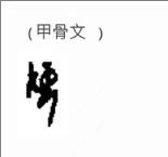 考古历史未解之谜甲骨文,考古十大存疑