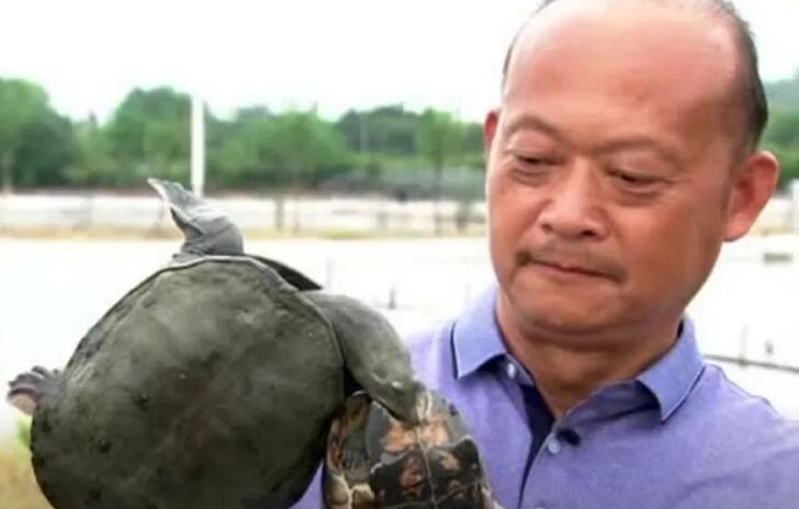 姚志刚养甲鱼,养甲鱼发家年赚一千万