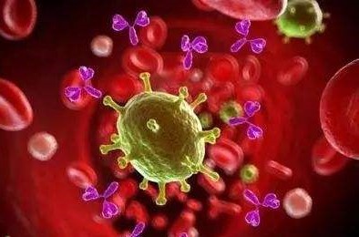 孕期做什么检查才能排除基因问题,孕期要做什么检查能确诊胎停