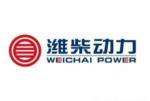 国产v6柴油发动机,国产柴油v8发动机