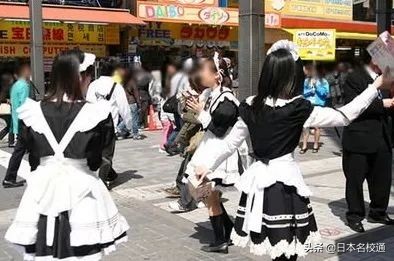 鲨鲨｜秋叶原｜女仆咖啡厅