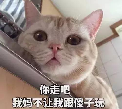 有没有发错微信给老板,错把消息发给老板