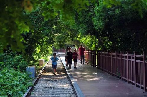 厦门旅游攻略免费,厦门旅游哪里好玩又免费攻略