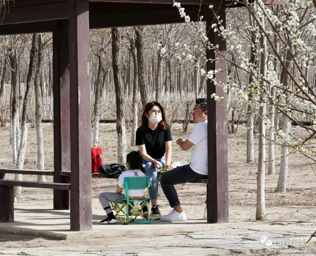 天津即将完工的公园,天津新开放的公园