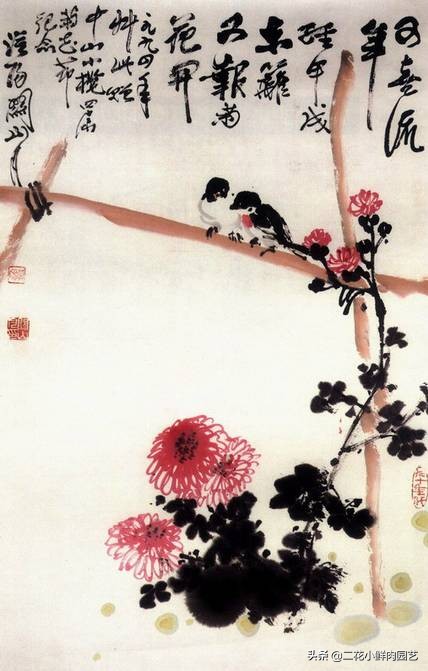 100种花卉绘画,100多张花卉线描手稿素材赶快收藏