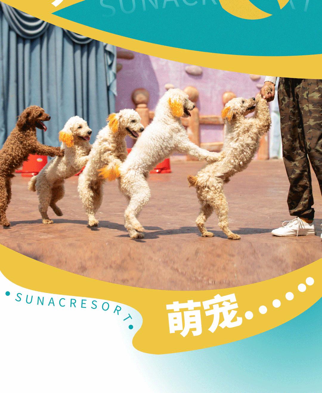 水世界海世界欢乐部落,桂林欢乐谷和融创海世界攻略