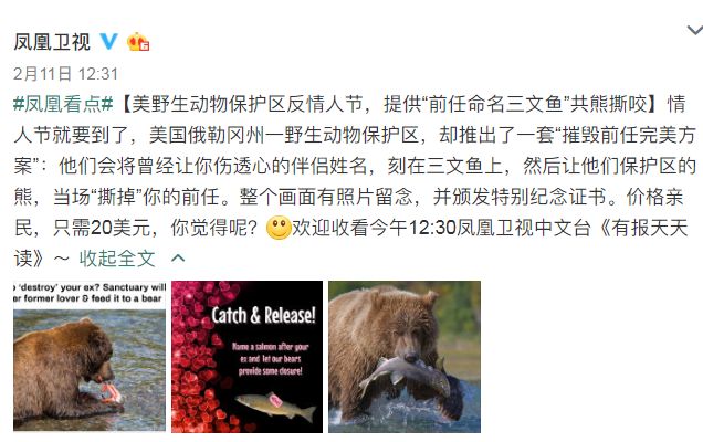 单身狗vs情侣过情人节,单身狗情人节打王者