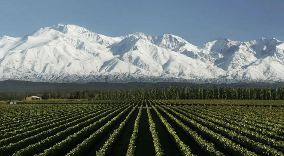 世界十大顶级葡萄酒产区,中国最好的葡萄酒产区