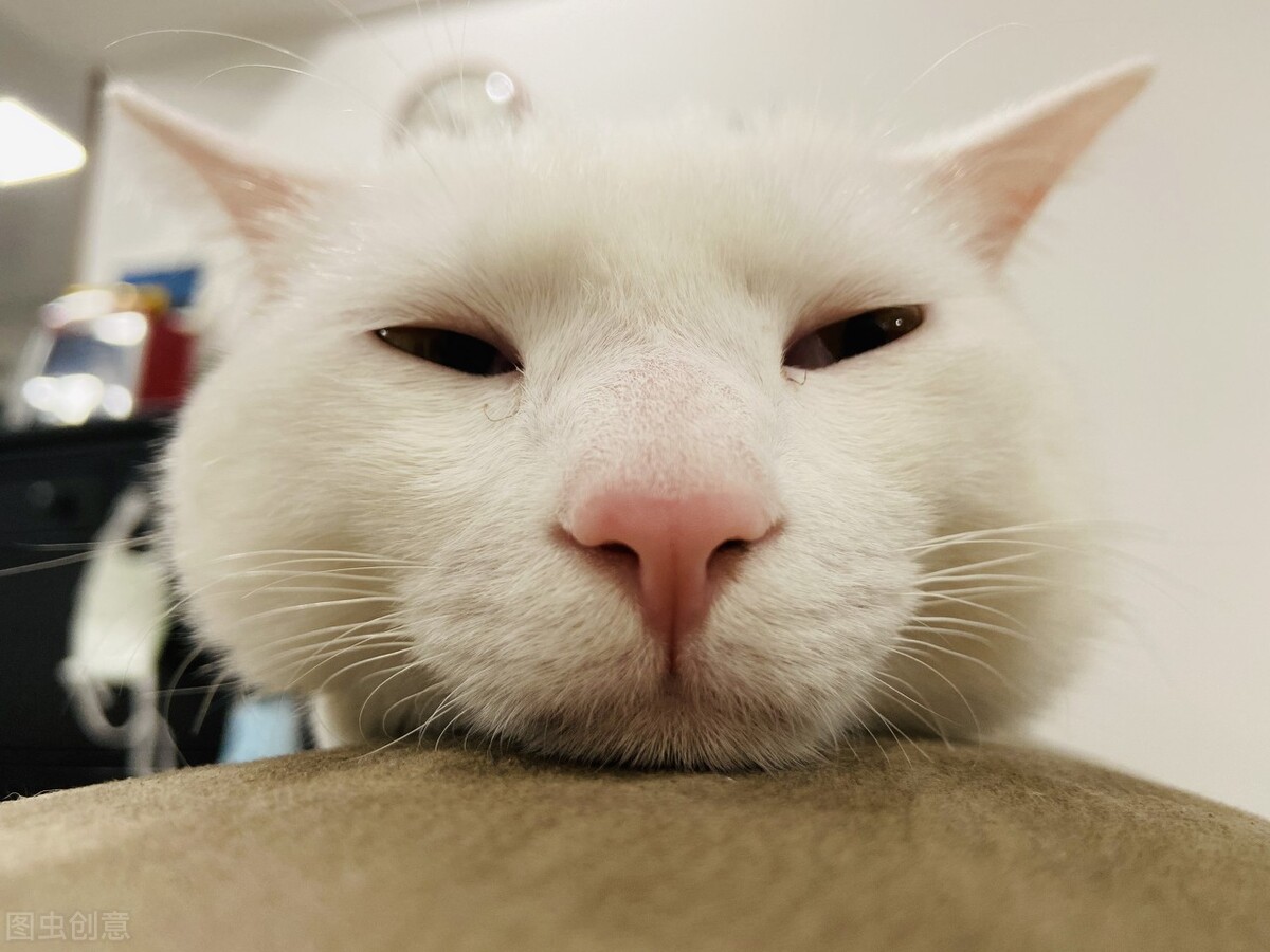 啥都不想干对啥都没兴趣,对什么都提不起兴趣什么都不想做