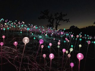 哪款iphone拍出来的照片更好看,苹果年度最佳照片