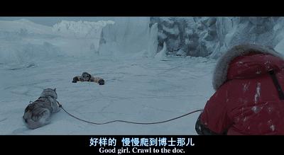 鍗楁瀬澶у啋闄╀腑鐨勮挋澶鐗囨,鍗楁瀬澶у啋闄╄挋澶