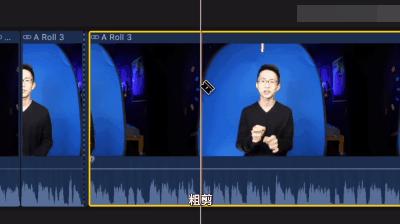 b站鸽王有哪些,b站up主鸽子